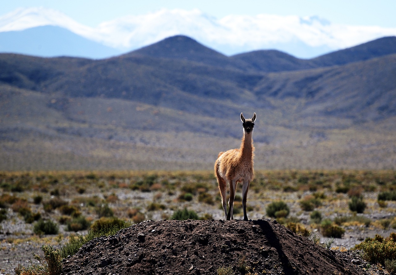 The Quiet Corners of Australia’s Tasmanian Wilderness